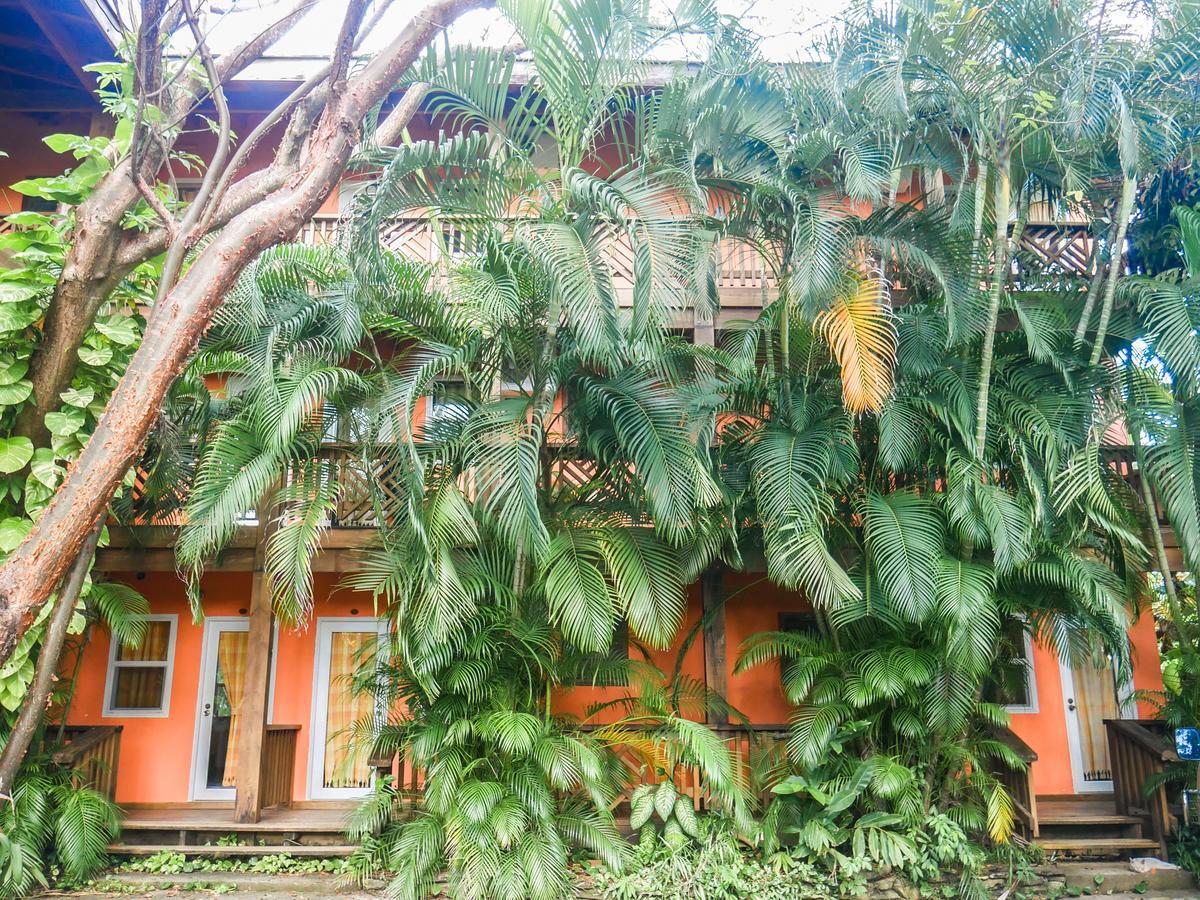 Hotel Posada Las Orquideas,West End Exteriör bild